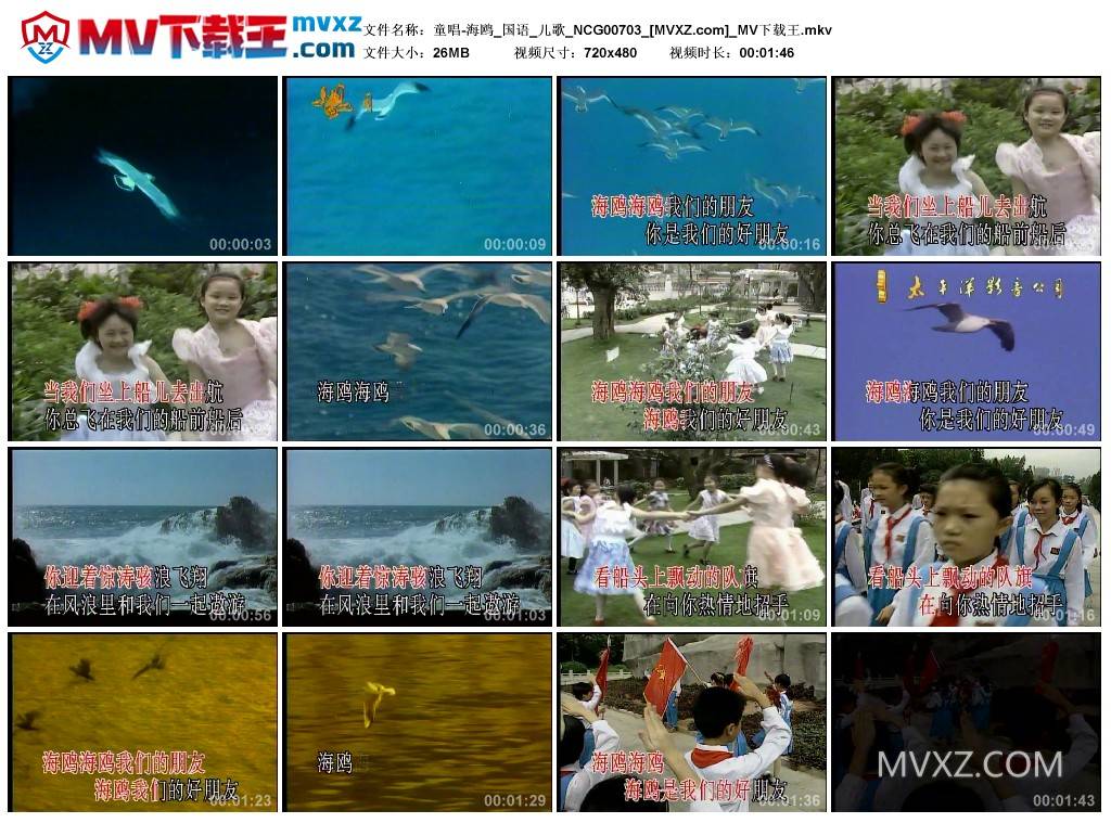 童唱-海鸥_国语_儿歌_NCG00703